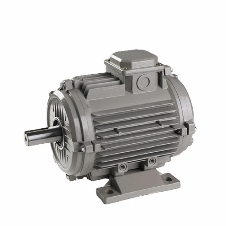 Three Phase Permanent Magnet Motor
